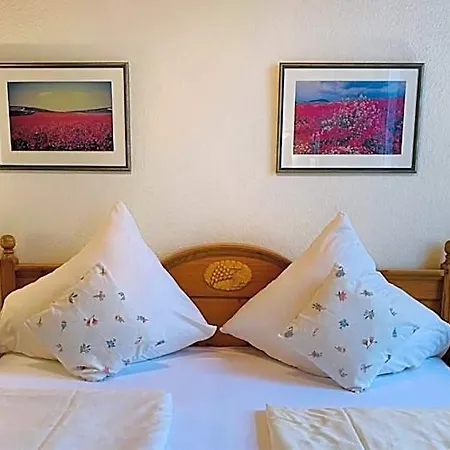 Hotell Hieronimi 2*
